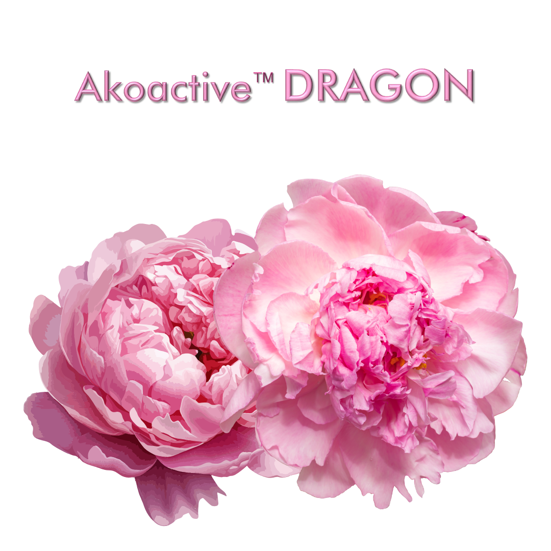 Akoactive TM Dragon